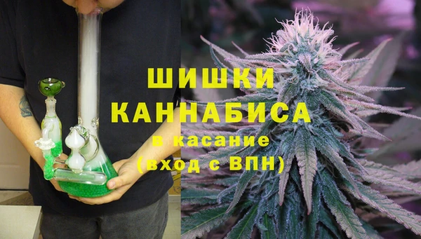 спайс Михайлов