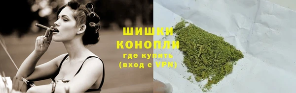 хмурый Мегион