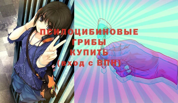 2c-b Медвежьегорск