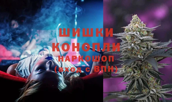 хмурый Мегион
