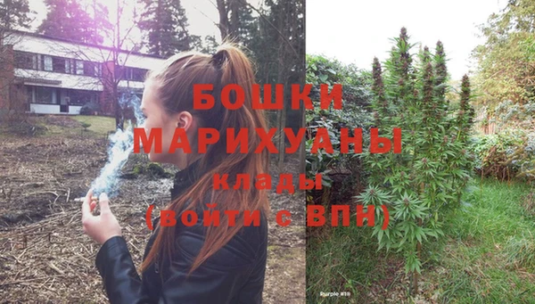 хмурый Мегион
